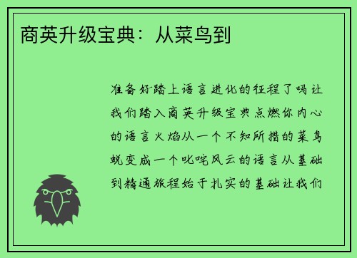 商英升级宝典：从菜鸟到